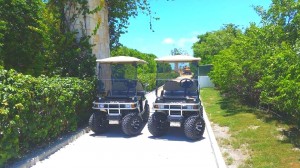 ATM Golf Carts 