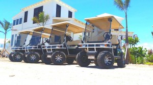 ATM Golf Carts 121